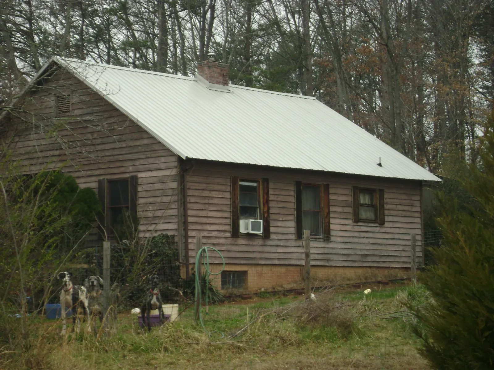 White metal roof on an old wood sided farmhouse, from a Asphalt Shingle Roof Repair job in Wever